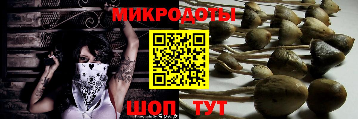 Шарыпово  Галлюциногенные грибы Psilocybine cubensis  Вход с VPN  Псилоцибиновые грибы Magic Shrooms 